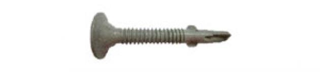 Phillips Wafer Head Screw Self Drilling - W Wings 1