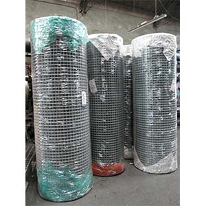 Crimped Wire Mesh 5