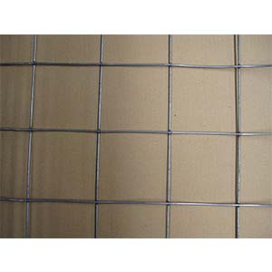 Welded Wire Mesh 4