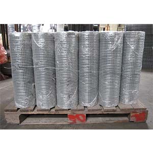 Welded Wire Mesh 5