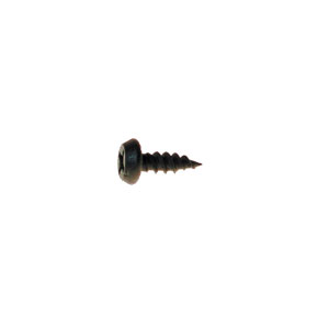 Pan Framing Screw